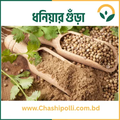 Coriander Powder ধনিয়ার গুঁড়া
